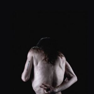 6233339