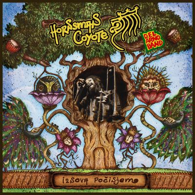 6241501